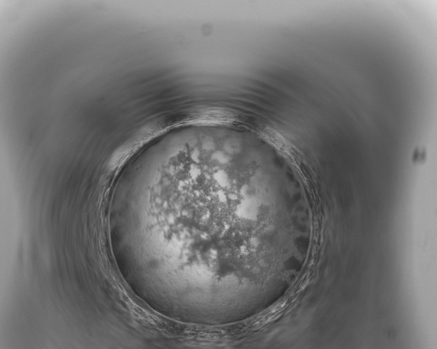 X0000089370337200706221226