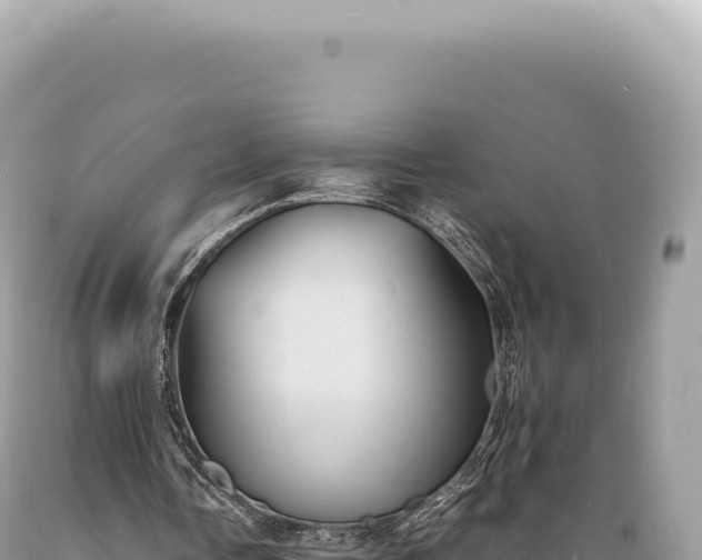 X0000089370338200706221226