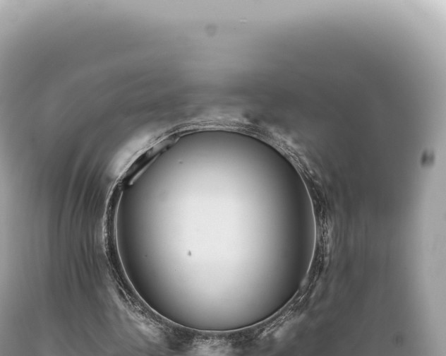 X0000089370340200706221226