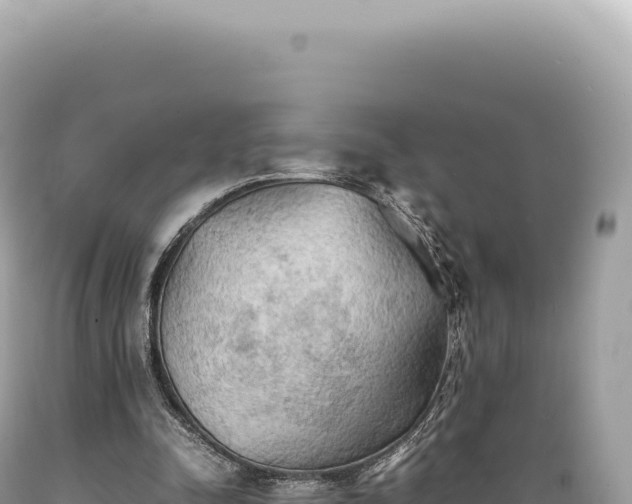 X0000089370342200706221226