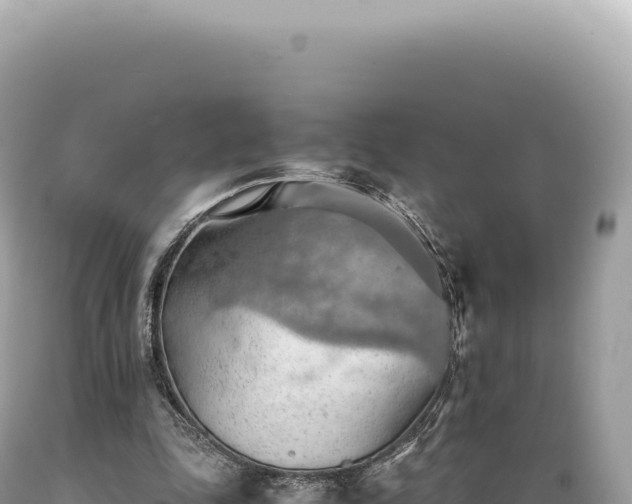 X0000089370343200706221226
