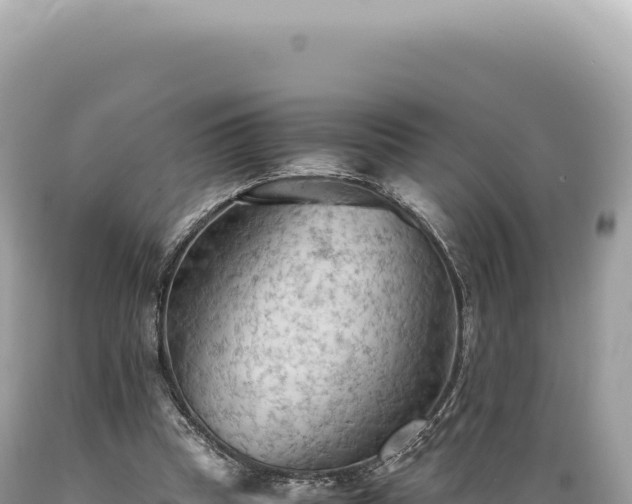 X0000089370345200706221226