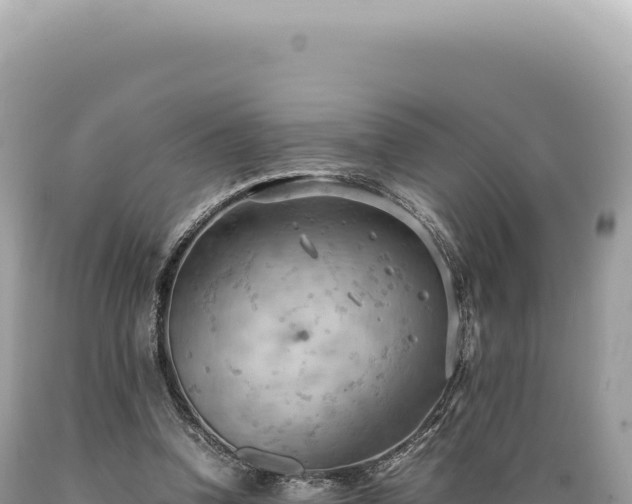 X0000089370346200706221226