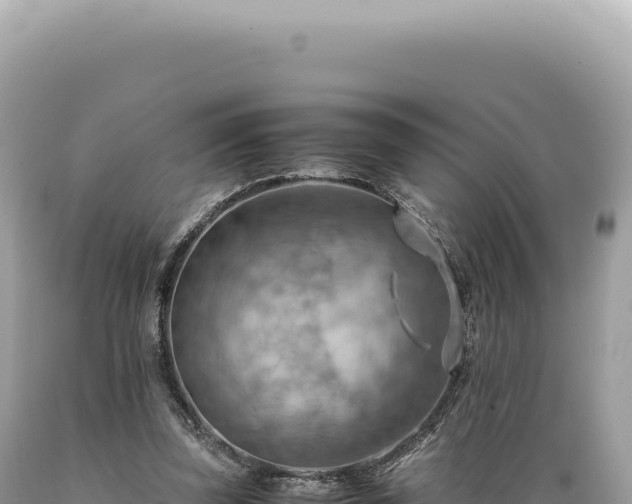 X0000089370347200706221226
