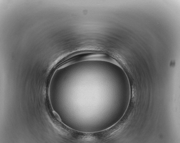 X0000089370348200706221226
