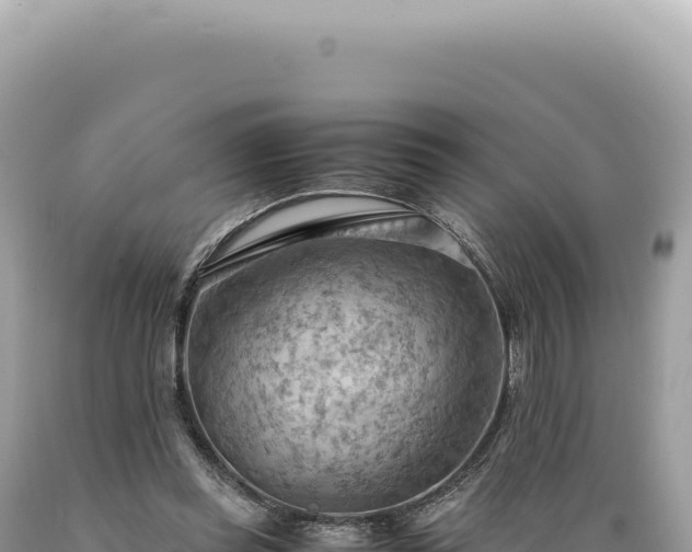 X0000089370349200706221226