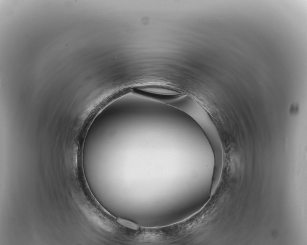 X0000089370350200706221226