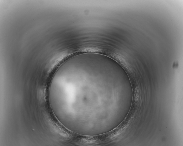 X0000089370351200706221226