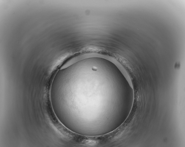 X0000089370352200706221226
