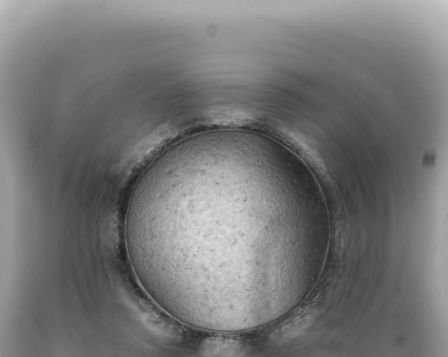 X0000089370354200706221226