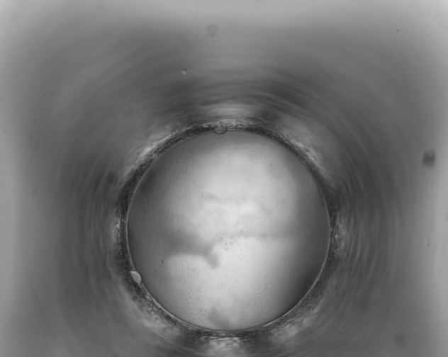 X0000089370355200706221226
