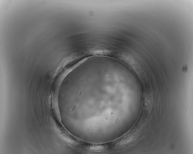 X0000089370357200706221226