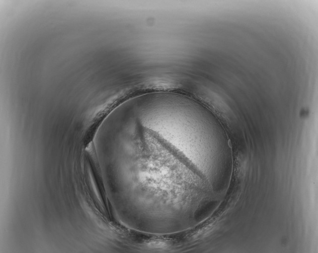 X0000089370358200706221226