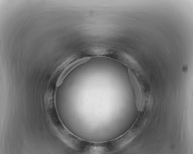 X0000089370360200706221226