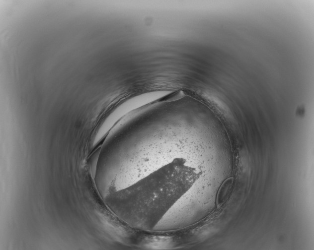 X0000089370361200706221226