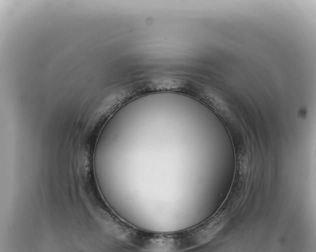 X0000089370362200706221226