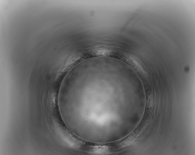 X0000089370363200706221226