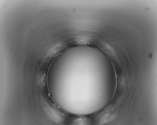 X0000089370364200706221226