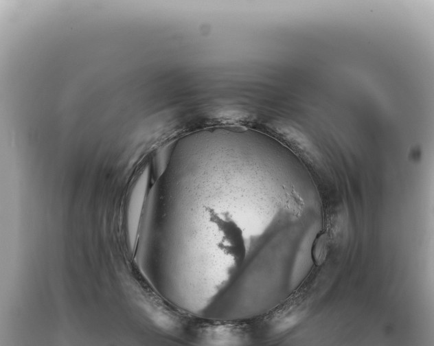 X0000089370365200706221226