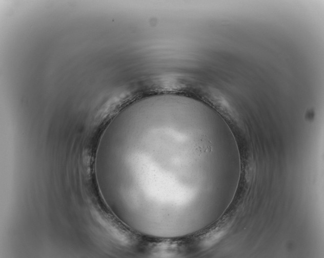X0000089370366200706221226