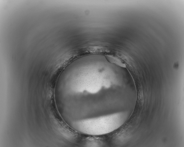 X0000089370367200706221226