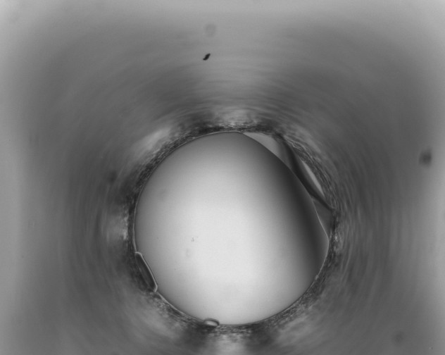 X0000089370368200706221226