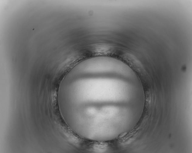 X0000089370369200706221226