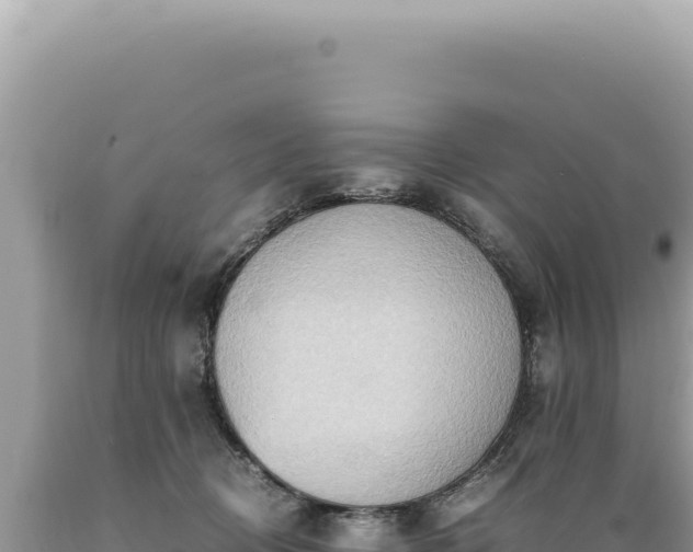 X0000089370370200706221226