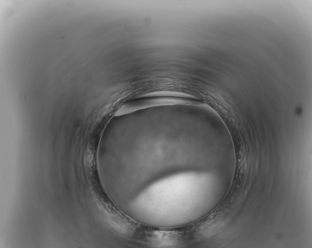 X0000089370371200706221226