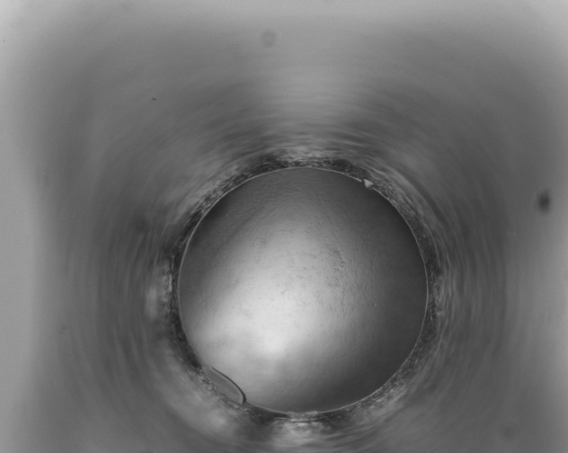 X0000089370372200706221226