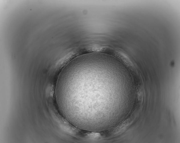 X0000089370374200706221226