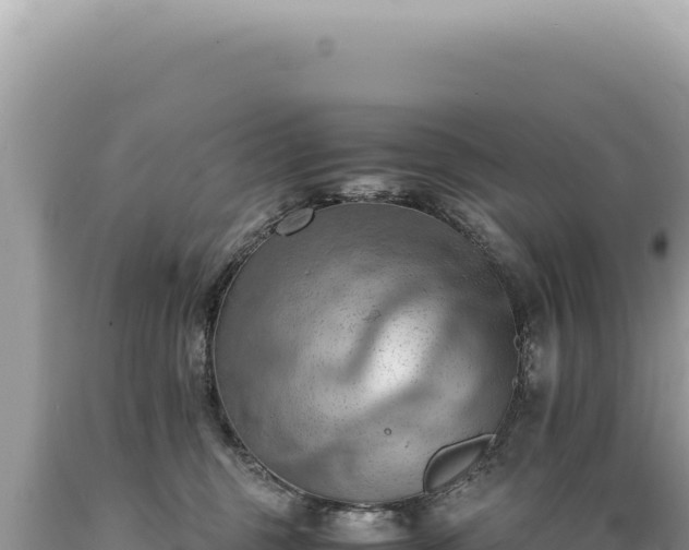 X0000089370375200706221226