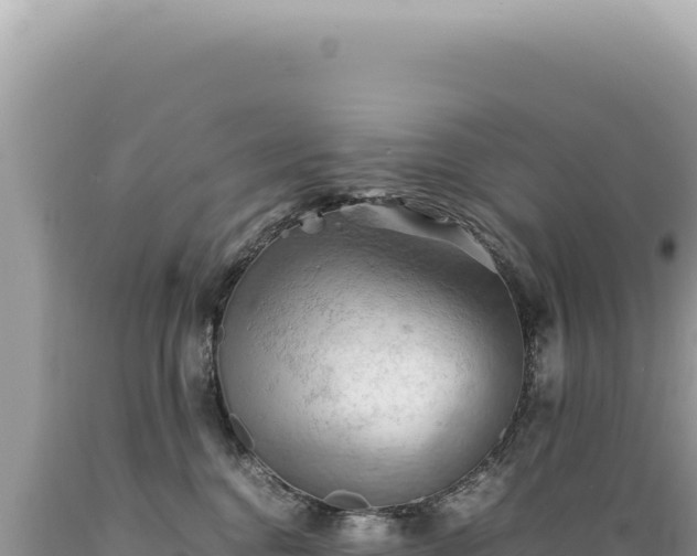 X0000089370376200706221226