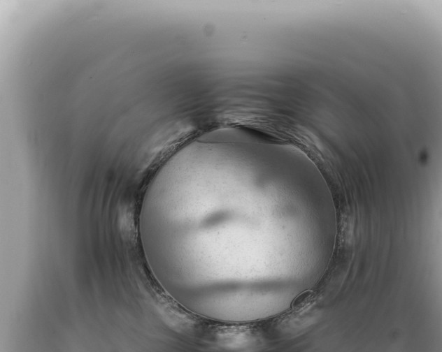 X0000089370377200706221226
