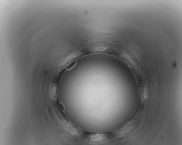 X0000089370378200706221226