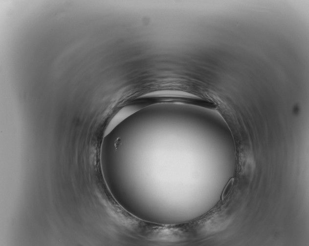 X0000089370379200706221226