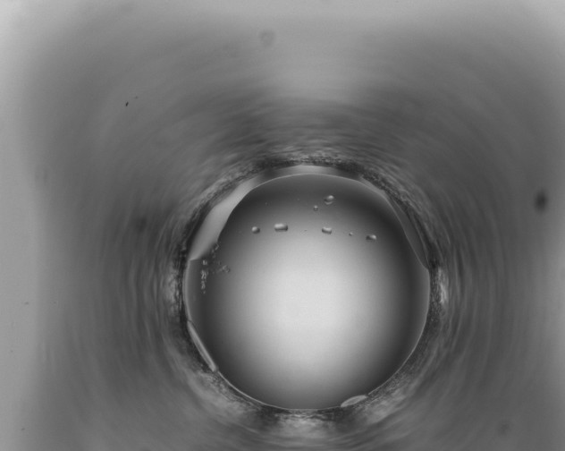 X0000089370380200706221226
