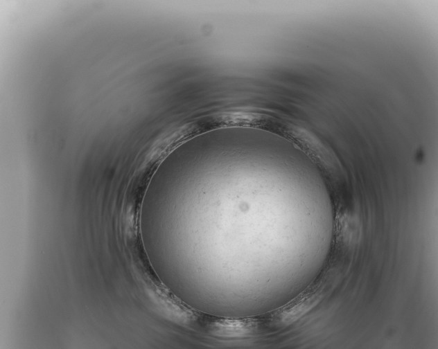 X0000089370381200706221226