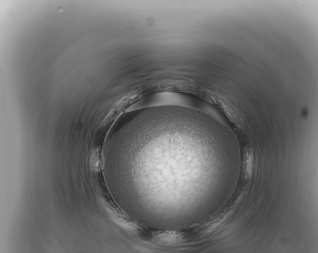 X0000089370383200706221226