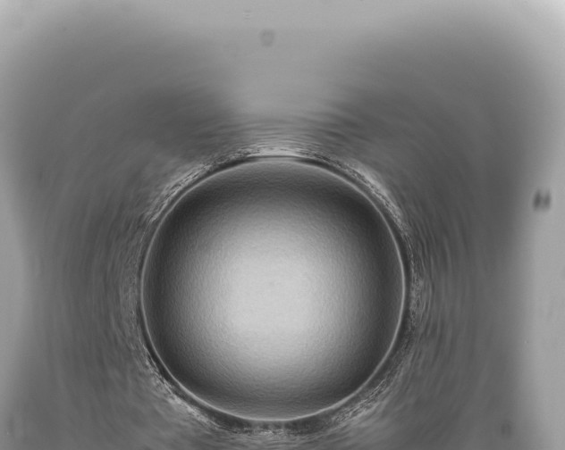 X0000089370385200706221226