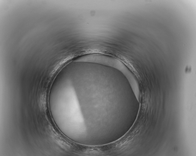 X0000089370386200706221226