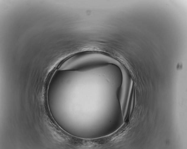 X0000089370387200706221226