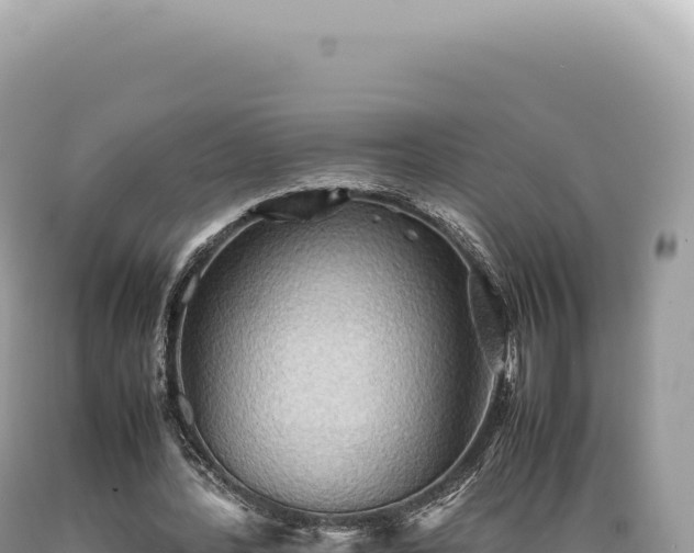 X0000089370388200706221226