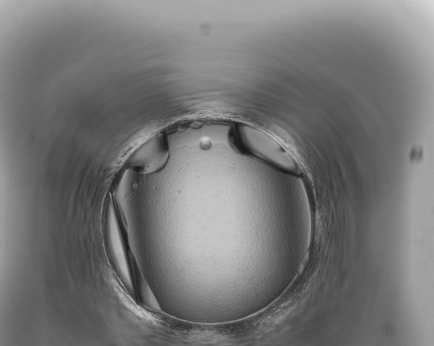 X0000089370389200706221226