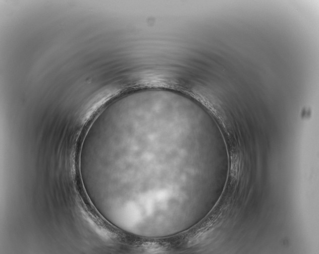 X0000089370390200706221226