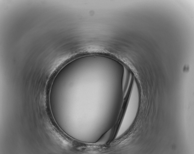 X0000089370391200706221226