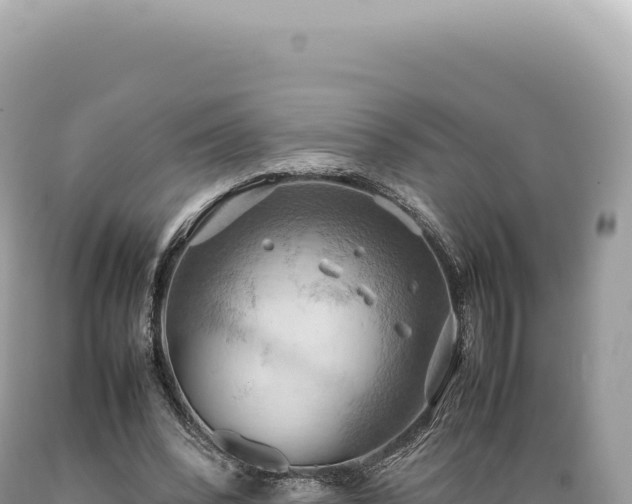 X0000089370392200706221226