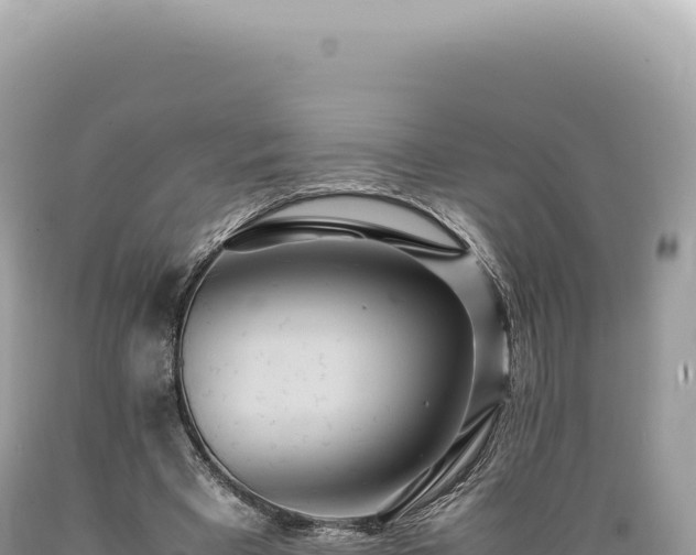 X0000089370393200706221226