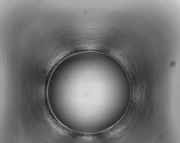 X0000089370394200706221226