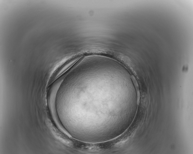 X0000089370395200706221225
